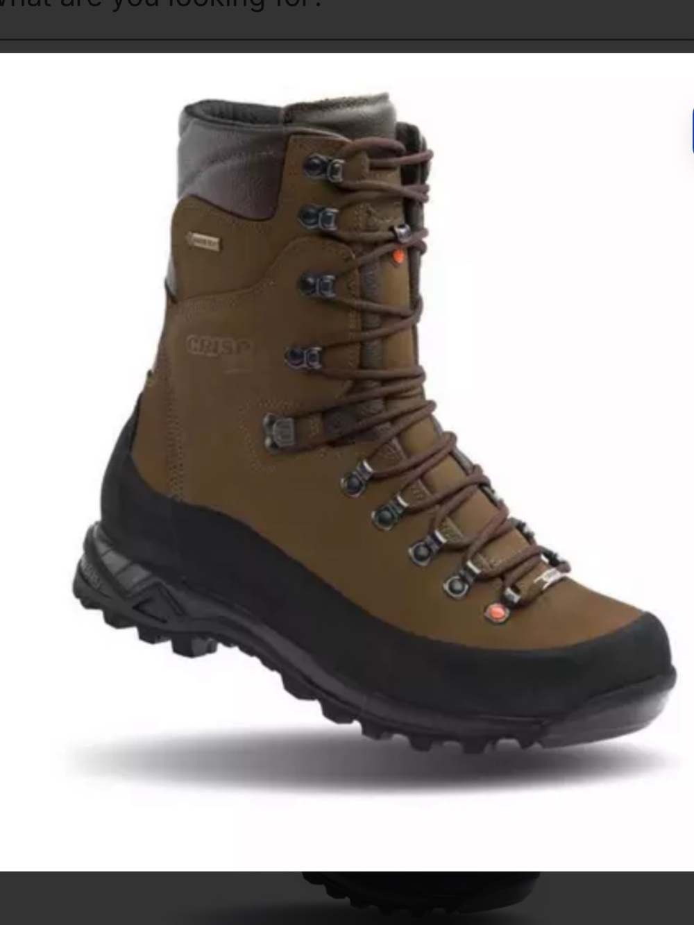 Men's Crispi Guide GTX Non-Insulated Boots